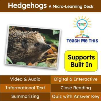 Preview of Hedgehogs Informational Text Reading Passage and Activities