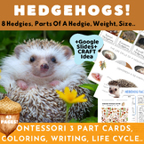 Hedgehogs/Montessori Cards/Parts+Life Cycle Of A Hedgie/Cr