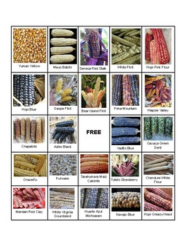 Preview of Heirloom Corn Bingo