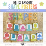 2D and 3D Shape Posters Editable | Hello Brights Classroom Decor