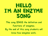 Hello, I'm an Enzyme