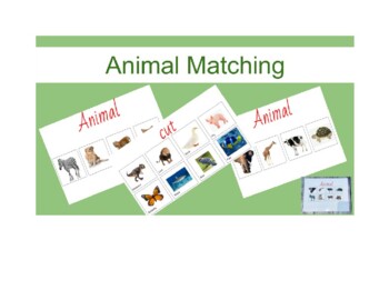 Preview of Matching and sorting with Animal Matching Cards interactive activities