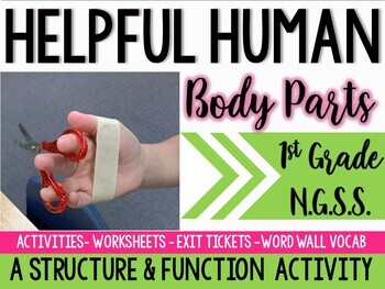 Preview of Helpful Human Body Parts- A Structure & Function Activity 1st Grade Science NGSS