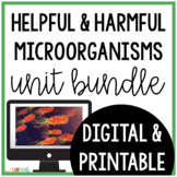 Helpful and Harmful Microorganisms Slides, Notes, Lab, and