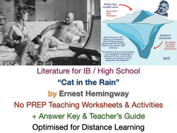 Preview of "Cat in the Rain" (Ernest Hemingway) and Iceberg Narration + ANSWERS