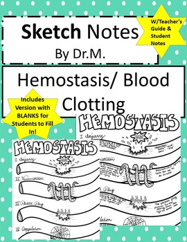 Preview of Hemostasis Blood Clotting Sketch Doodle Notes, Student Notes, incl FIB Version!