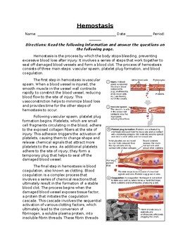 Preview of Hemostasis: Informational Text, Images, and Assessment