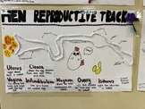 Hen Reproduction Project Rubric