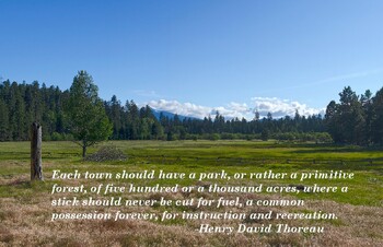 Preview of Henry David Thoreau parks quote poster 11 x 17 PDF