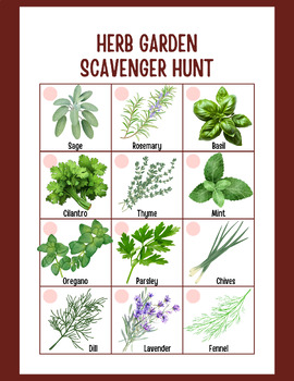Preview of Herb Garden Scavenger Hunt | Herb Activity for Kids | Scavenger Hunt Digital PDF