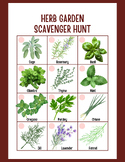 Herb Garden Scavenger Hunt | Herb Activity for Kids | Scav