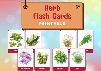 Preview of Herb Printable Flash Cards 20 Matching Kids Flash Card Learning Homeschool Print