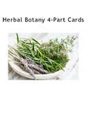 Herbal Nomenclature (4-Part Cards)