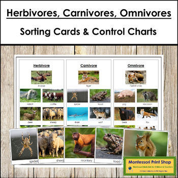 Preview of Herbivore, Carnivore & Omnivore Animals - Sorting Cards & Control Chart