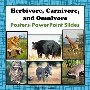 Herbivore, Carnivore, Omnivore PowerPoint Slides/Posters - Animal  Adaptations