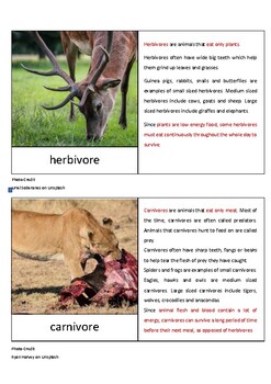 Preview of Herbivore, Carnivore, Omnivore Printable Learning Cards