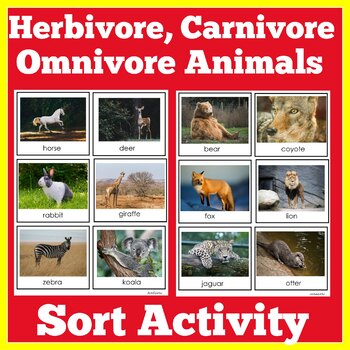 Herbivores Carnivores Omnivores Animal Science Activity Kindergarten 1st  2nd 3rd