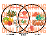 Herbivore Carnivore Omnivore Venn Diagram