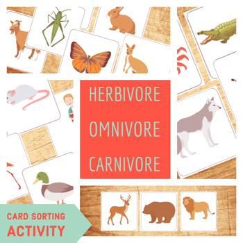 Preview of Herbivore Omnivore Carnivore - Food Chain - Card Sorting Activity