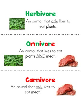 Herbivores Carnivores Omnivores Teaching Resources | TPT