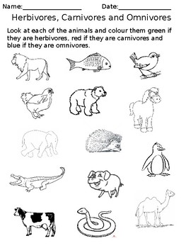 Omnivores Herbivores And Carnivors Teaching Resources | TPT