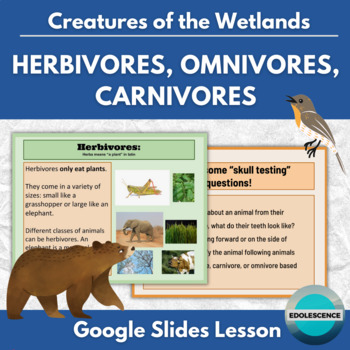 Herbivores Carnivores Omnivores Teaching Resources | TPT