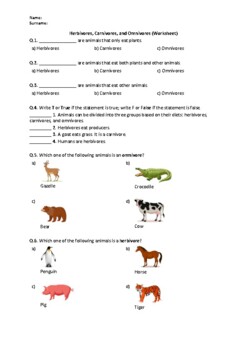Preview of Herbivores, Carnivores, & Omnivores - Worksheet | Easel Activity & Printable PDF