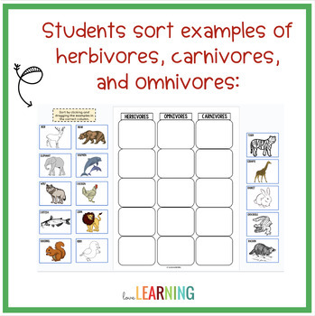 examples of carnivores herbivores and omnivores