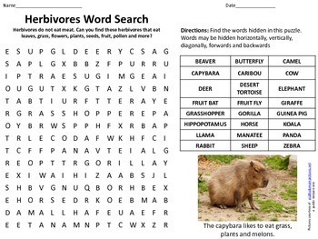 Herbivores Word Search with Answer Key by Steady and Soar | TPT