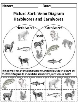 Preview of Herbivores and Carnivores Picture Sort Graph Activity- Aligned to RI.K.7, RI.K.9