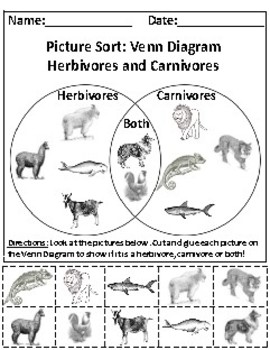 Herbivores and Carnivores Picture Sort Graph Activity + Chart Activity -  