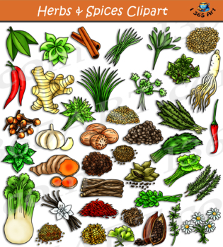 Preview of Herbs & Spices Clipart