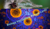 Heredity: Biology Vocabulary Picture Cards