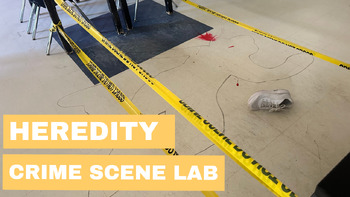 Preview of Heredity Crime Scene Lab