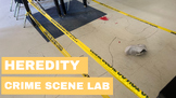 Heredity Crime Scene Lab