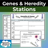 Heredity DNA & Genes Notes Stations - Middle School