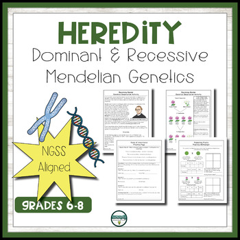 Preview of Heredity - Dominant and Recessive Mendelian Genetics Activities and Worksheets