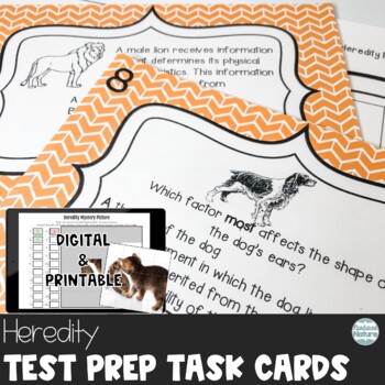 Preview of Heredity Genetic Traits - Science Review Test Prep Task Cards Digital Printable