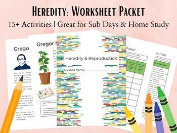 Preview of Heredity & Genetics Life Science Worksheet Packet for Middle School Science