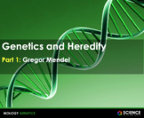 PPT - Genetics: Mendel, Heredity, Punnett Squares, DNA Str