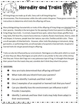 heredity inheritance and variation of traits by worksheet place