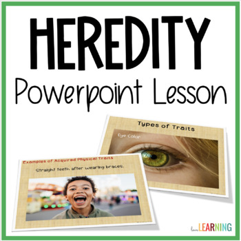 Preview of Heredity - Inherited Traits, Learned Behaviors, and Acquired Trait Slides Lesson