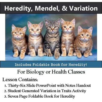 Preview of Heredity, Mendel, & Variation in Traits - Genetics Lesson with Foldable Book