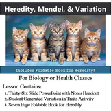 Heredity, Mendel, & Variation in Traits - Genetics Lesson 