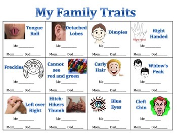 Heredity Unit - Family Traits Scavenger Hunt by Jennifer Golden | TpT