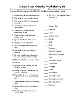 Geics Voary Quiz Worksheets Teaching Resources Tpt