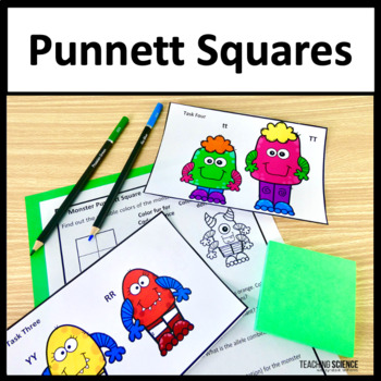 Preview of Genetic and Heredity Punnett Squares Activities & Genetic Mutations Worksheets