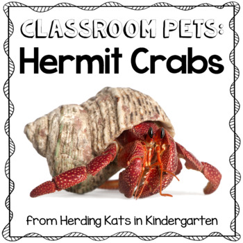 Preview of Hermit Crab Classroom Pet