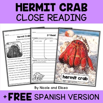 Preview of Hermit Crab Close Reading Comprehension Passage Activities + FREE Spanish Pack