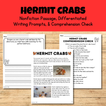 Preview of Hermit Crabs (Nonfiction Passage, Writing Prompts, & Comprehension Check) Summer